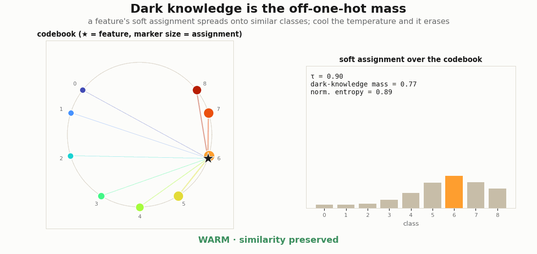 Animated softmax temperature sweep over a graded codebook: a feature's soft assignment spreads onto neighbouring classes when warm and collapses to a one-hot spike when cold