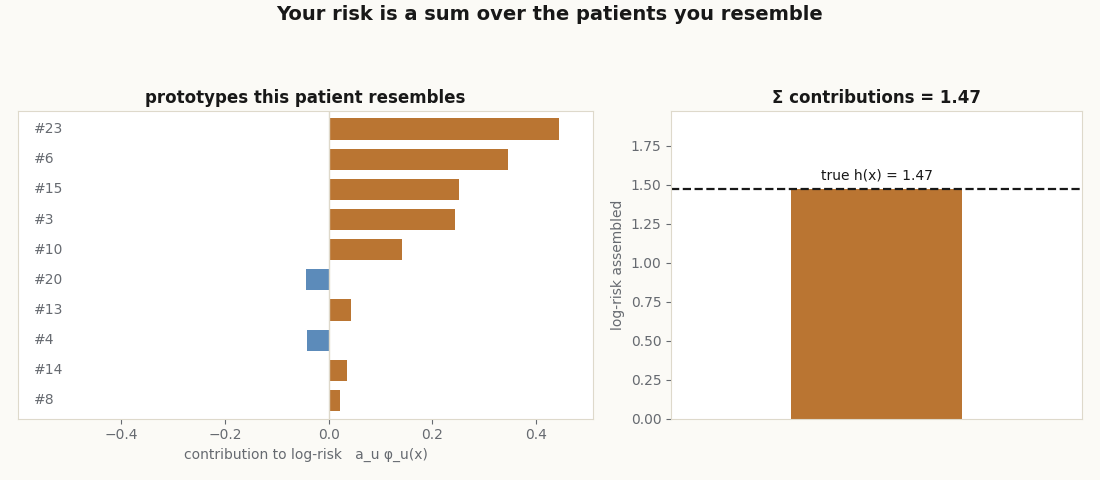 Signed contribution bars for a patient's top prototypes, orange raising risk and blue lowering it, with the terms summing to the patient's true log-risk