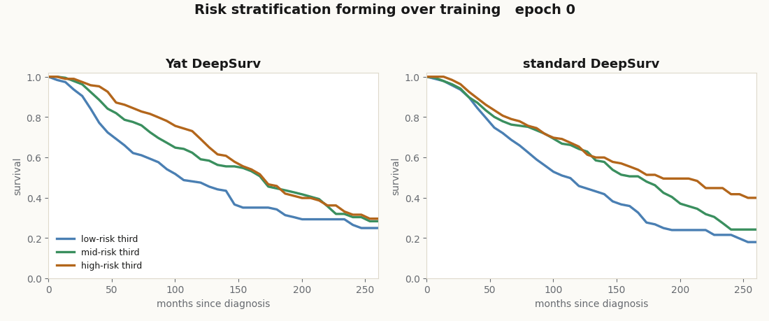 Kaplan-Meier survival curves of low, mid and high risk tertiles separating over training epochs, for the Yat DeepSurv and the standard DeepSurv side by side