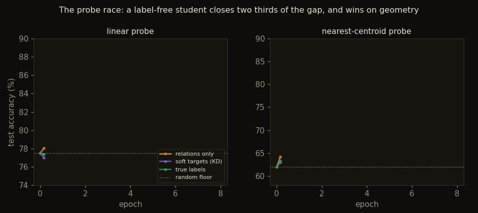 Two panels of accuracy curves drawing themselves epoch by epoch, one for the linear probe and one for the nearest-centroid probe; the relations-only, KD, and label curves climb from the random floor, and on the centroid panel the relations-only curve ends above the label curve