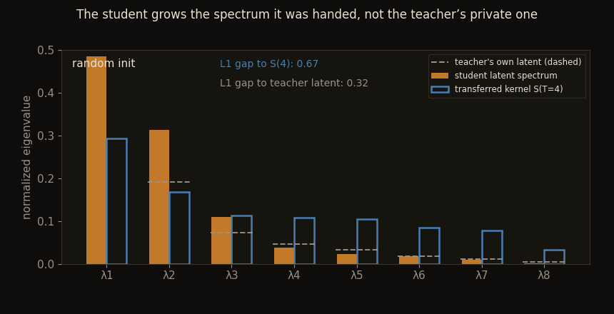 Eigenvalue bars for the student's latent growing epoch by epoch from a random init toward the outline of the transferred kernel's spectrum, while dashed ticks marking the teacher's own private latent spectrum stay unmatched; an L1 gap readout falls to 0.24