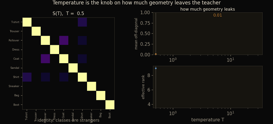 A temperature dial sweeping T from 0.5 to 32; the class kernel morphs from near-identity through a blocky family structure to near-uniform, while the real mean-off-diagonal curve and effective-rank curve draw themselves alongside