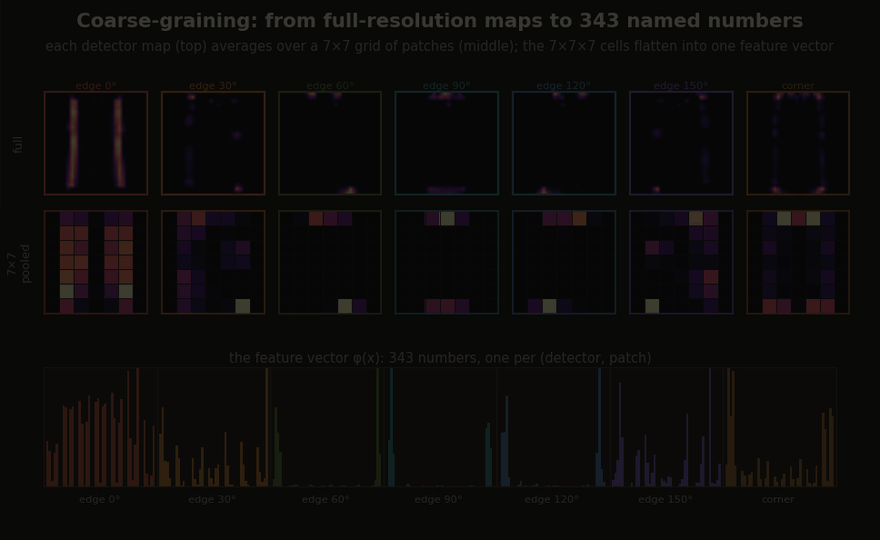 Seven fixed detector maps pooled over a seven-by-seven spatial grid and flattened into 343 named features