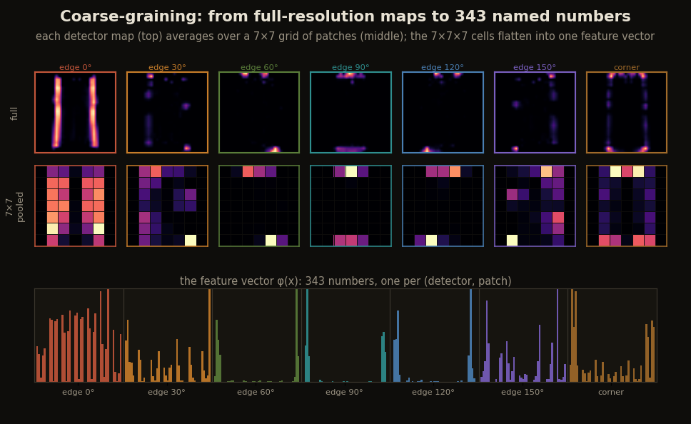 Seven full-resolution detector maps and their 7 by 7 pooled versions, and the single 343-number feature vector they flatten into, colored by detector