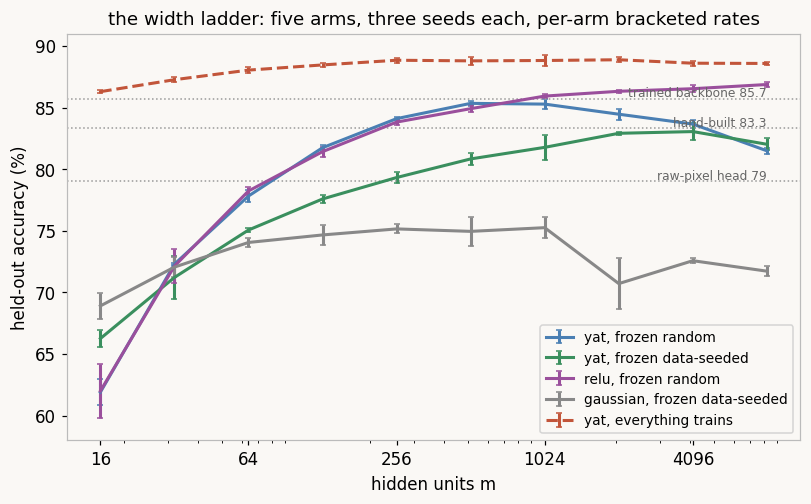 Accuracy against width for five arms with seed error bars, three dotted reference rungs, and the trained arm's dashed curve above all frozen curves at every width