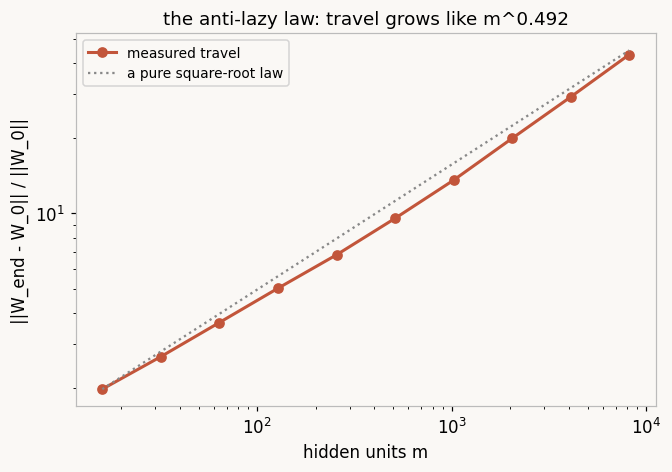A log-log plot of relative prototype movement against width, a straight line following a square-root law next to a dotted reference