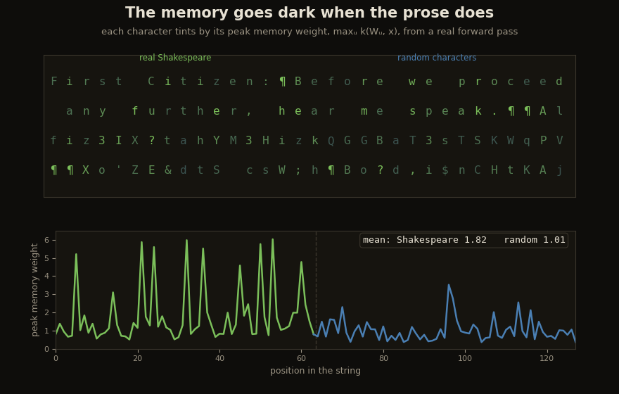 A 128-character string whose first half is real Shakespeare and second half random characters; each character tints by its peak kernel weight, bright green over the prose and dim over the gibberish, while the per-position trace below drops at the boundary