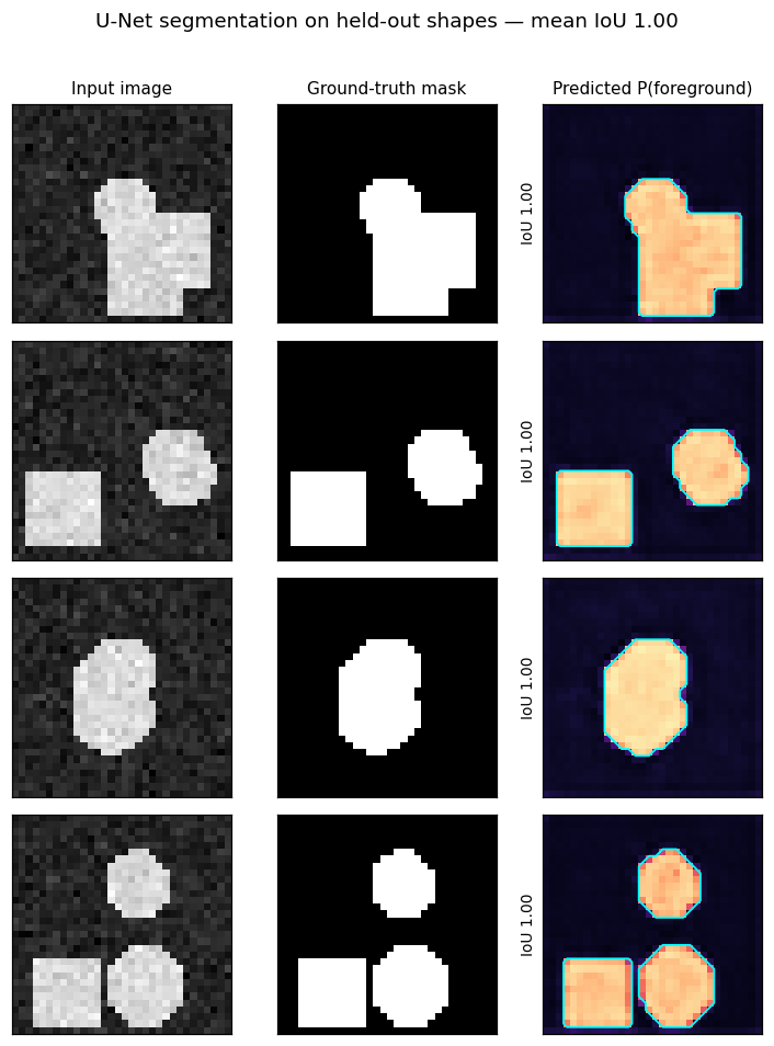 U-Net predictions on held-out synthetic shapes: input, ground-truth mask, and predicted foreground probability
