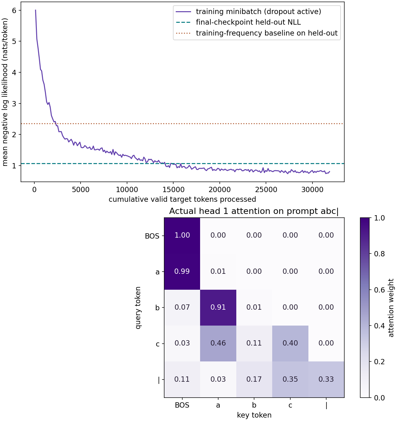 Actual token-normalized training trajectory and one head's causal attention